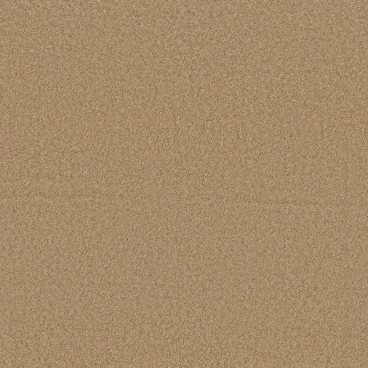 Anderson Tuftex Enchanting — Winter Wheat · ZZ267-00224 — flooring selection with LeviArs Design & Remodeling