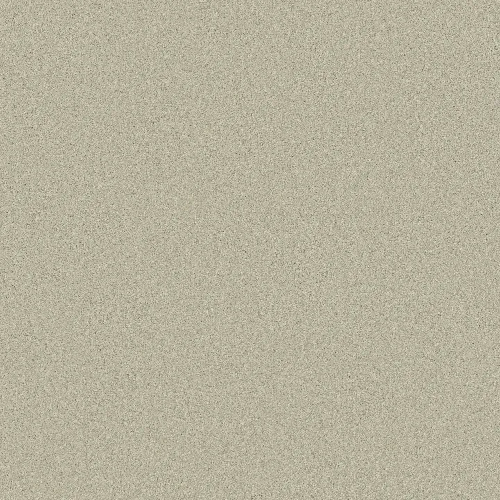 Anderson Tuftex Enduring Charm — Aloe Wash · ZZ268-00322 — flooring selection with LeviArs Design & Remodeling