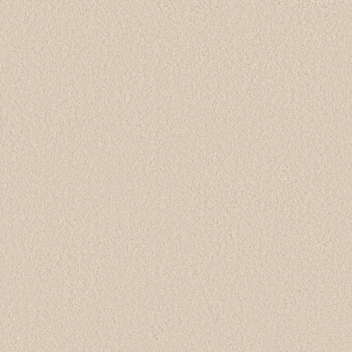 Anderson Tuftex Enduring Charm — Angora · ZZ268-00112 — flooring selection with LeviArs Design & Remodeling