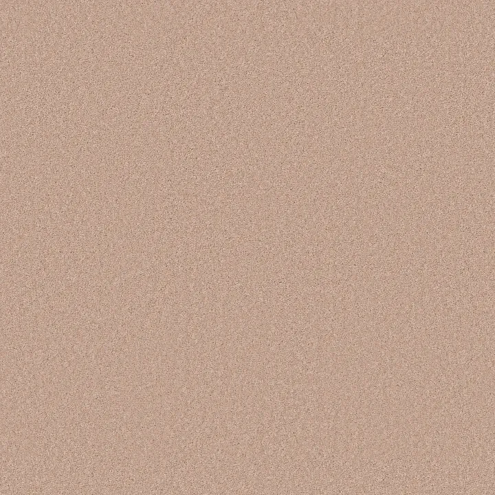 Anderson Tuftex Enduring Charm — Apricot Ice · ZZ268-00623 — flooring selection with LeviArs Design & Remodeling