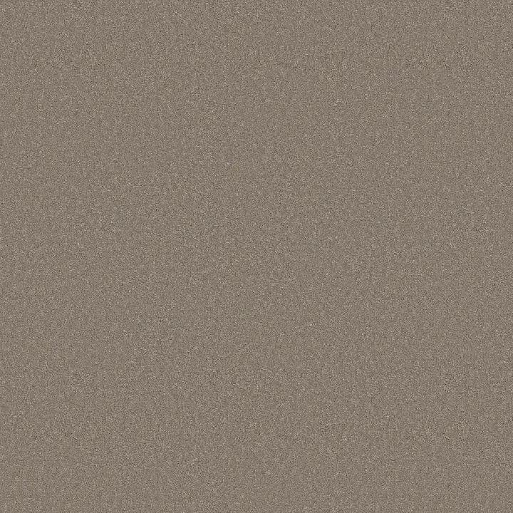 Anderson Tuftex Enduring Charm — Atmosphere · ZZ268-00573 — flooring selection with LeviArs Design & Remodeling