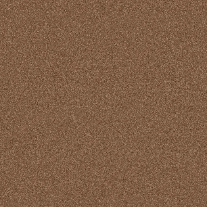 Anderson Tuftex Enduring Charm — Autumn Glaze · ZZ268-00675 — flooring selection with LeviArs Design & Remodeling