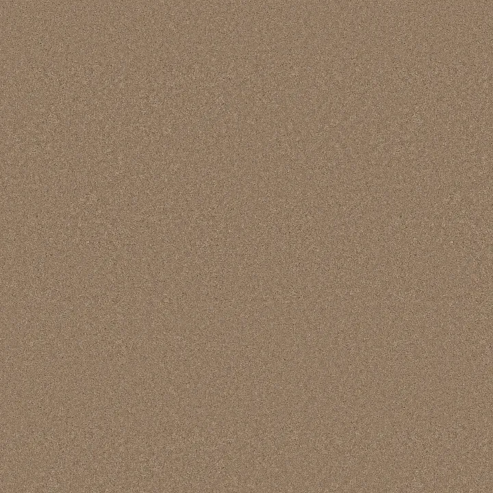 Anderson Tuftex Enduring Charm — Biscotti · ZZ268-00724 — flooring selection with LeviArs Design & Remodeling