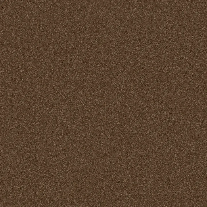 Anderson Tuftex Enduring Charm — Bronco · ZZ268-00768 — flooring selection with LeviArs Design & Remodeling