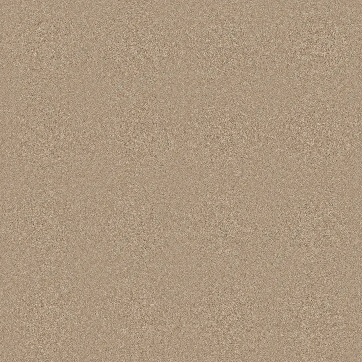 Anderson Tuftex Enduring Charm — Brulee · ZZ268-00124 — flooring selection with LeviArs Design & Remodeling