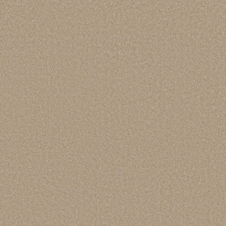 Anderson Tuftex Enduring Charm — Buff · ZZ268-00173 — flooring selection with LeviArs Design & Remodeling