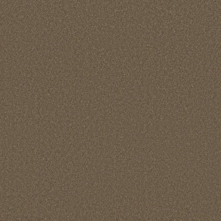 Anderson Tuftex Enduring Charm — Carafe · ZZ268-00758 — flooring selection with LeviArs Design & Remodeling