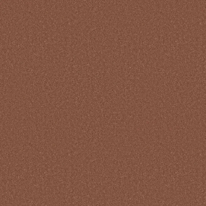 Anderson Tuftex Enduring Charm — Clay · ZZ268-00667 — flooring selection with LeviArs Design & Remodeling