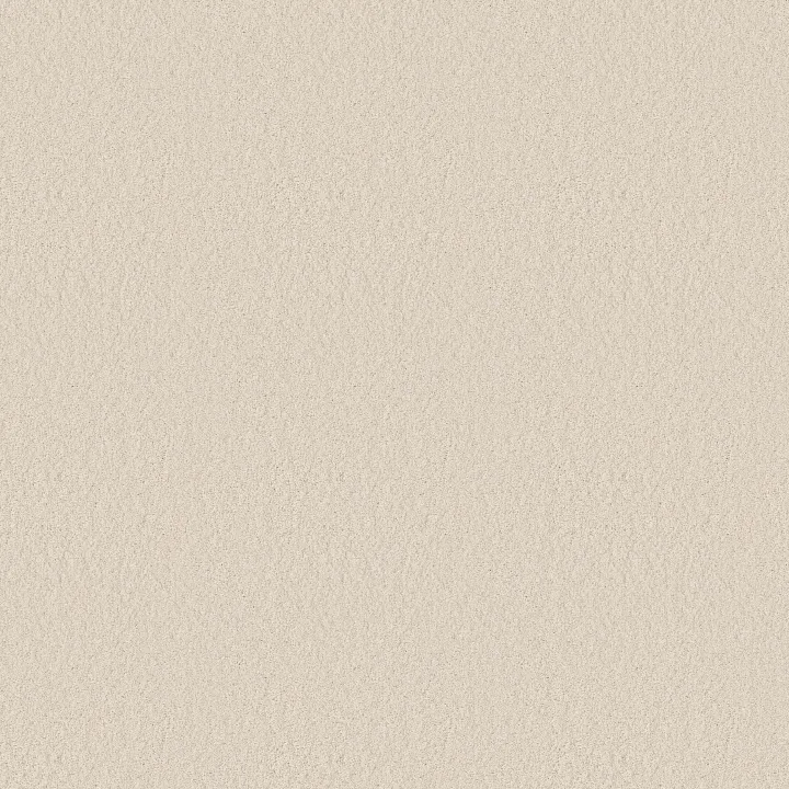 Anderson Tuftex Enduring Charm — Cloud · ZZ268-00111 — flooring selection with LeviArs Design & Remodeling