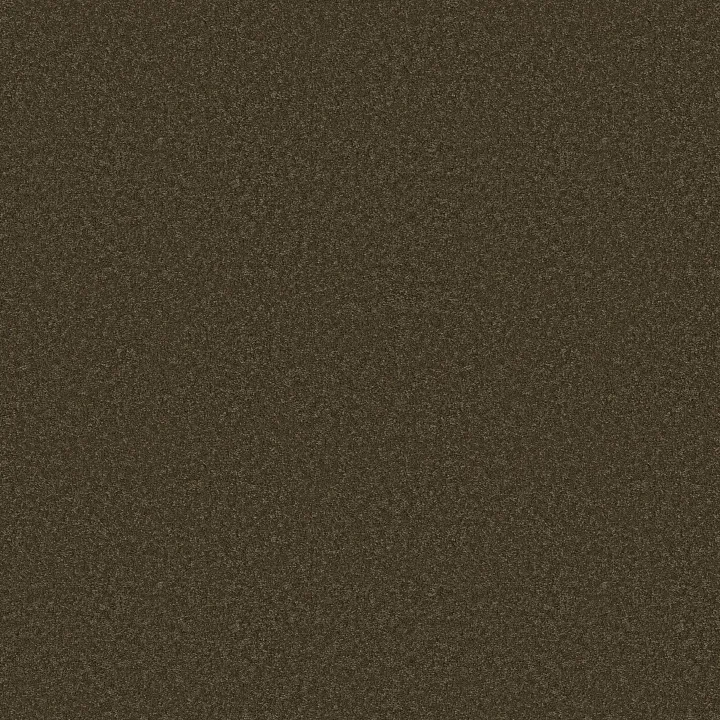 Anderson Tuftex Enduring Charm — Dark Olive · ZZ268-00339 — flooring selection with LeviArs Design & Remodeling