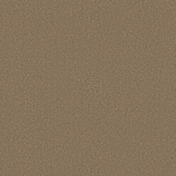 Anderson Tuftex Enduring Charm — Latte · ZZ268-00755 — flooring selection with LeviArs Design & Remodeling