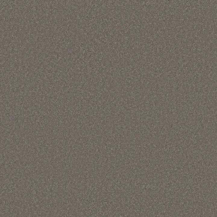 Anderson Tuftex Enduring Charm — Lunar Rock · ZZ268-00555 — flooring selection with LeviArs Design & Remodeling