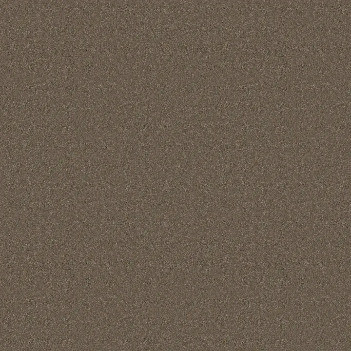 Anderson Tuftex Enduring Charm — Moonbeam · ZZ268-00578 — flooring selection with LeviArs Design & Remodeling