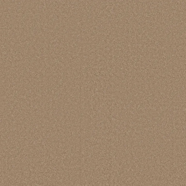 Anderson Tuftex Enduring Charm — Natural · ZZ268-00174 — flooring selection with LeviArs Design & Remodeling
