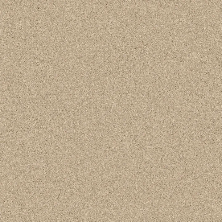 Anderson Tuftex Enduring Charm — Papyrus · ZZ268-00222 — flooring selection with LeviArs Design & Remodeling