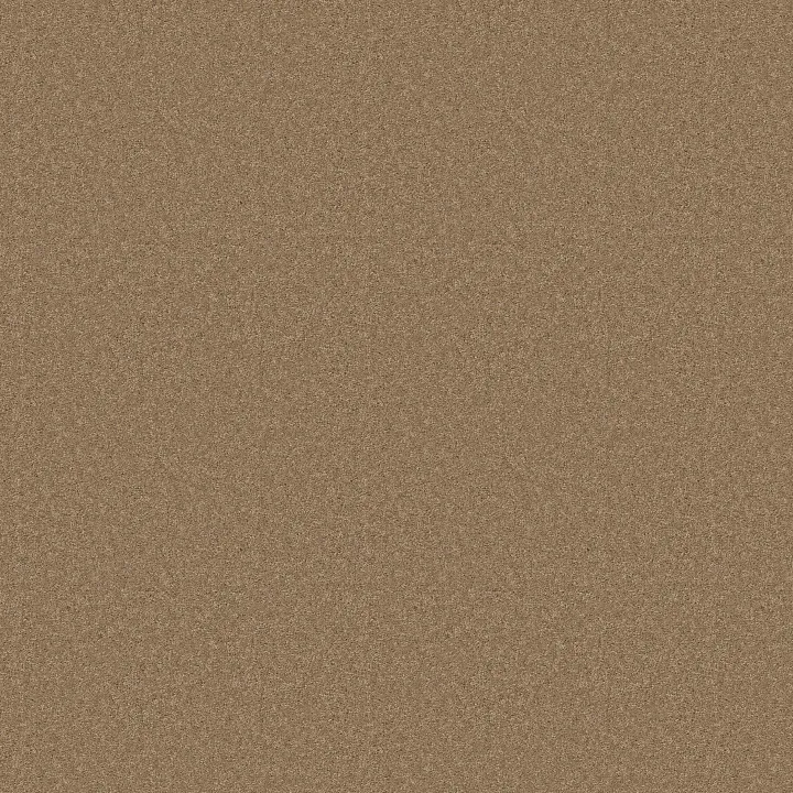 Anderson Tuftex Enduring Charm — Prairie · ZZ268-00727 — flooring selection with LeviArs Design & Remodeling
