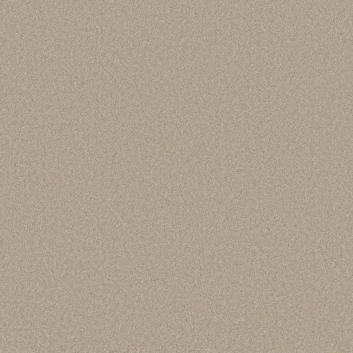 Anderson Tuftex Enduring Charm — Sandshell · ZZ268-00172 — flooring selection with LeviArs Design & Remodeling