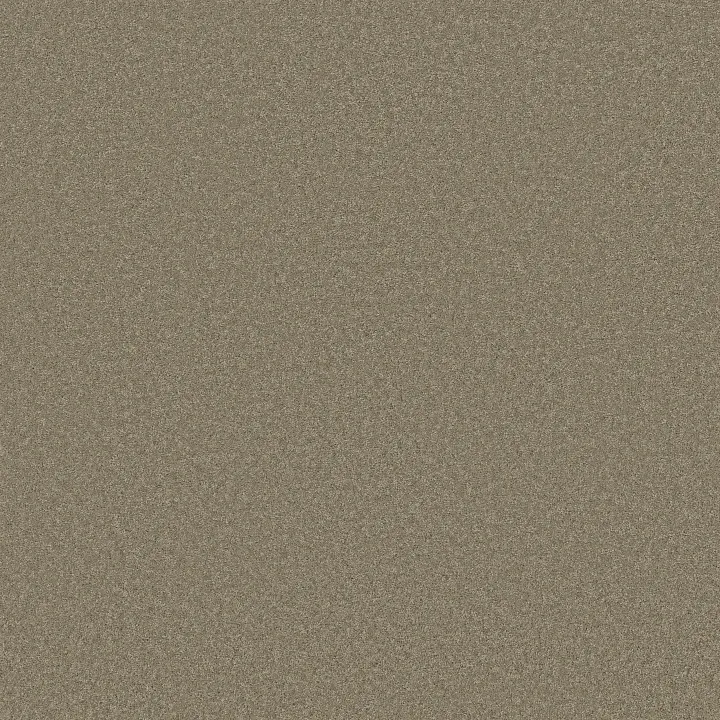 Anderson Tuftex Enduring Charm — Slate · ZZ268-00355 — flooring selection with LeviArs Design & Remodeling