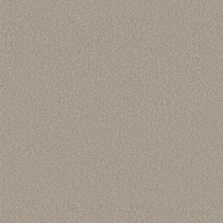 Anderson Tuftex Enduring Charm — String · ZZ268-00552 — flooring selection with LeviArs Design & Remodeling