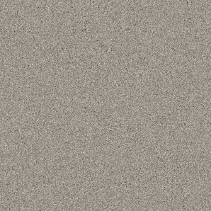 Anderson Tuftex Enduring Charm — Summer Rain · ZZ268-00542 — flooring selection with LeviArs Design & Remodeling