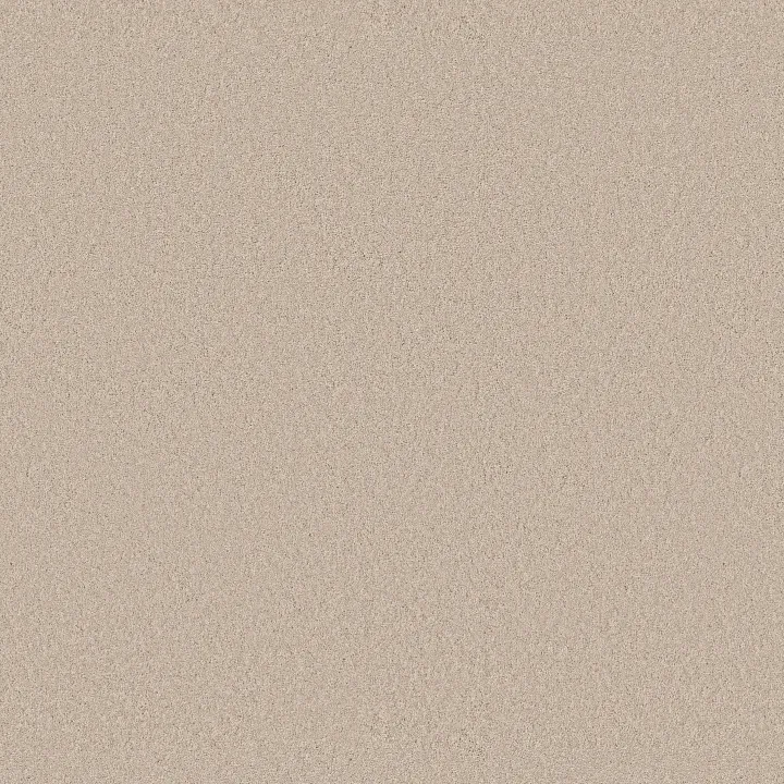 Anderson Tuftex Enduring Charm — Tapioca · ZZ268-00162 — flooring selection with LeviArs Design & Remodeling