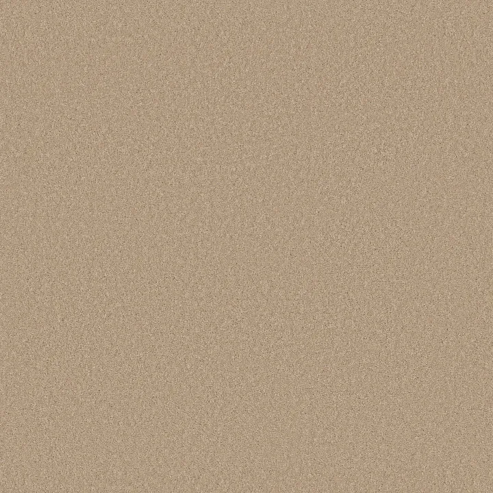 Anderson Tuftex Enduring Charm — Transparent · ZZ268-00114 — flooring selection with LeviArs Design & Remodeling