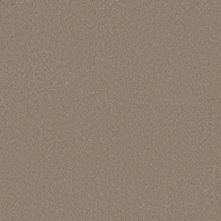 Anderson Tuftex Enduring Charm — Tuffet · ZZ268-00753 — flooring selection with LeviArs Design & Remodeling
