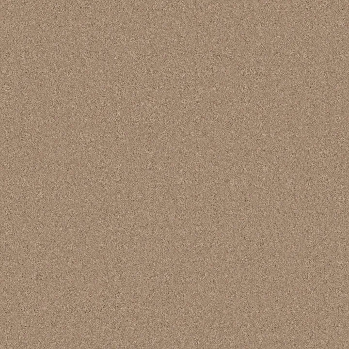 Anderson Tuftex Enduring Charm — Warm Sand · ZZ268-00764 — flooring selection with LeviArs Design & Remodeling