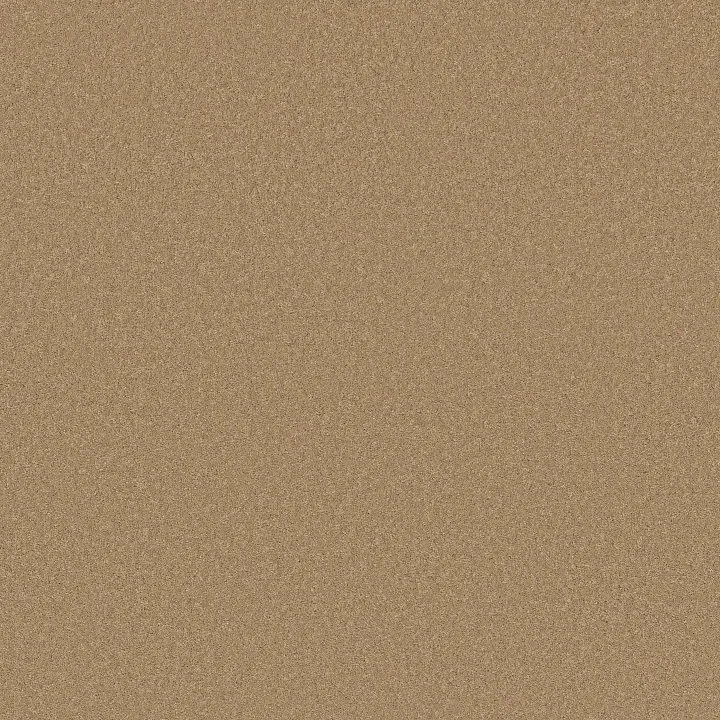Anderson Tuftex Enduring Charm — Winter Wheat · ZZ268-00224 — flooring selection with LeviArs Design & Remodeling