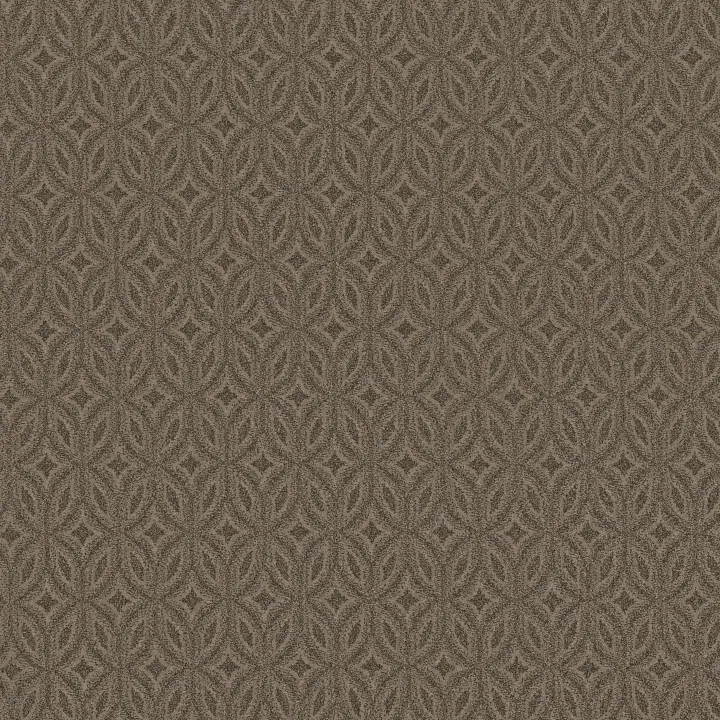 Anderson Tuftex Enlightened — Arrowhead · ZZ274-00577 — flooring selection with LeviArs Design & Remodeling