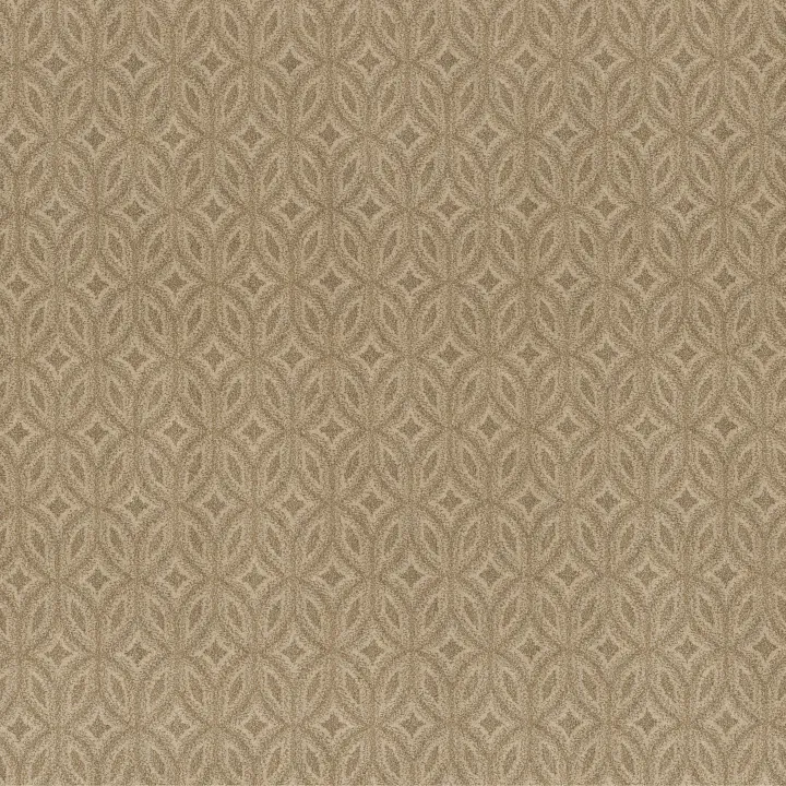 Anderson Tuftex Enlightened — Beach Grass · ZZ274-00223 — flooring selection with LeviArs Design & Remodeling