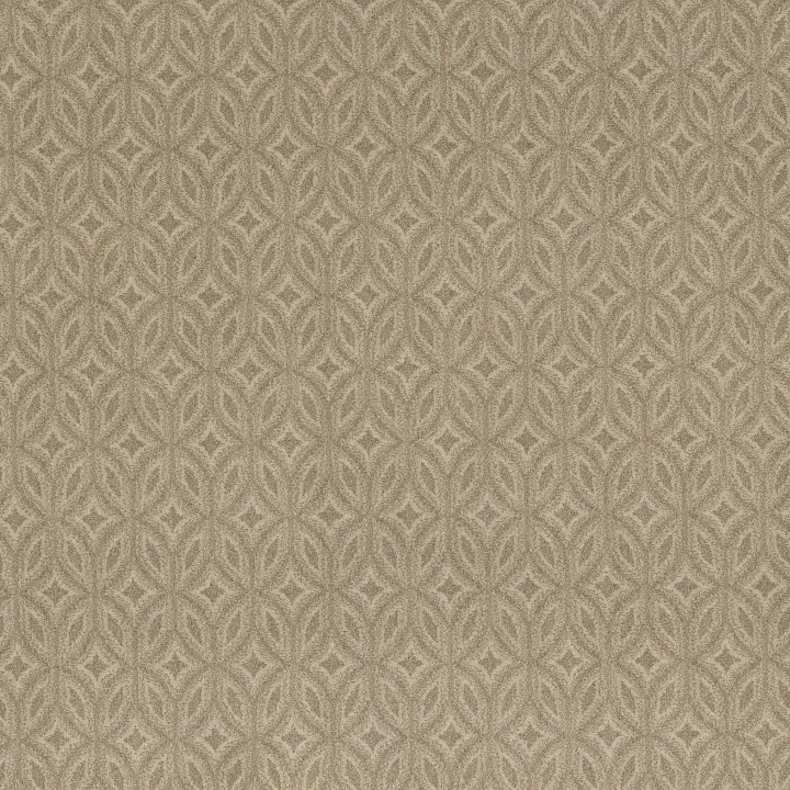 Anderson Tuftex Enlightened — Casual · ZZ274-00132 — flooring selection with LeviArs Design & Remodeling