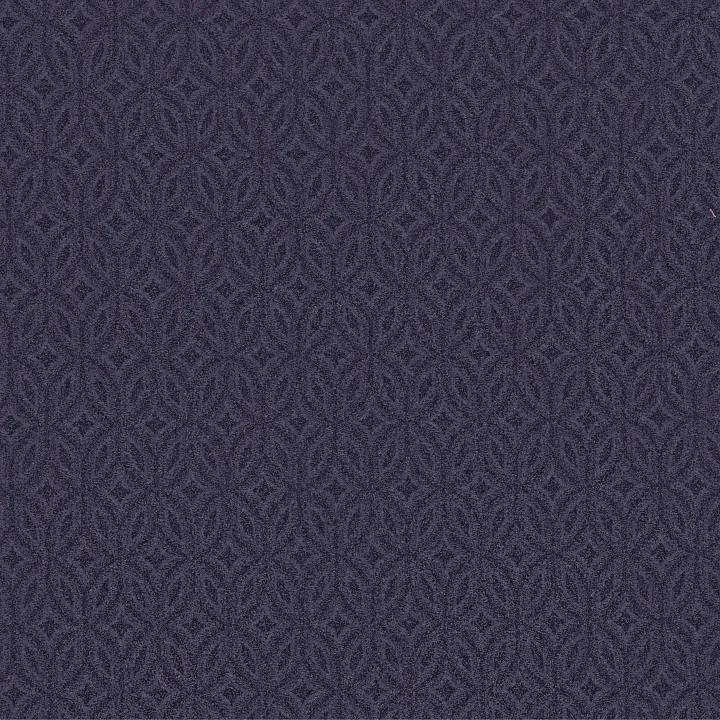Anderson Tuftex Enlightened — Dark Lilac · ZZ274-00997 — flooring selection with LeviArs Design & Remodeling