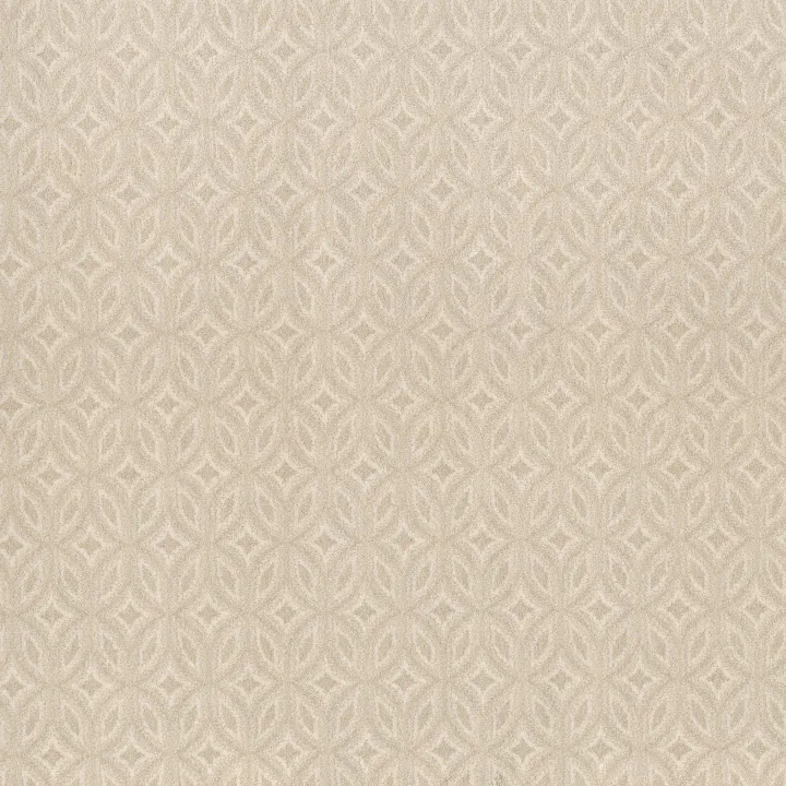 Anderson Tuftex Enlightened — French Cream · ZZ274-00111 — flooring selection with LeviArs Design & Remodeling