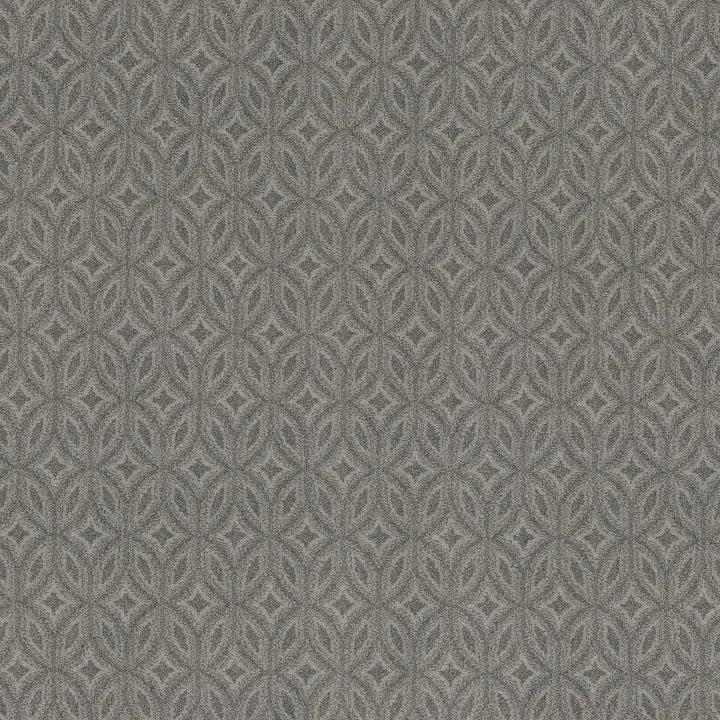 Anderson Tuftex Enlightened — Lunar · ZZ274-00555 — flooring selection with LeviArs Design & Remodeling