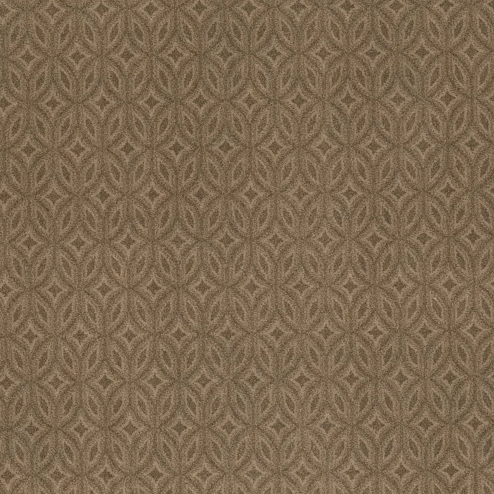 Anderson Tuftex Enlightened — Open Canyon · ZZ274-00275 — flooring selection with LeviArs Design & Remodeling