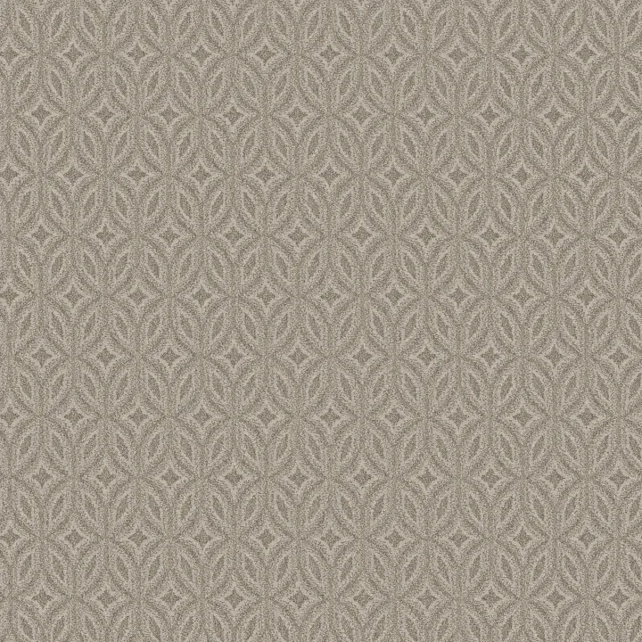Anderson Tuftex Enlightened — Sentimental · ZZ274-00571 — flooring selection with LeviArs Design & Remodeling