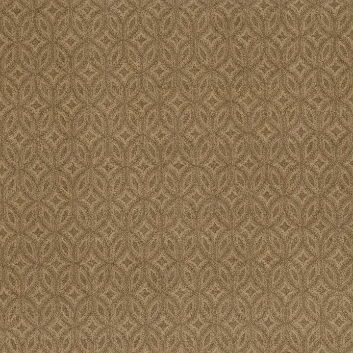 Anderson Tuftex Enlightened — Summerwood · ZZ274-00225 — flooring selection with LeviArs Design & Remodeling