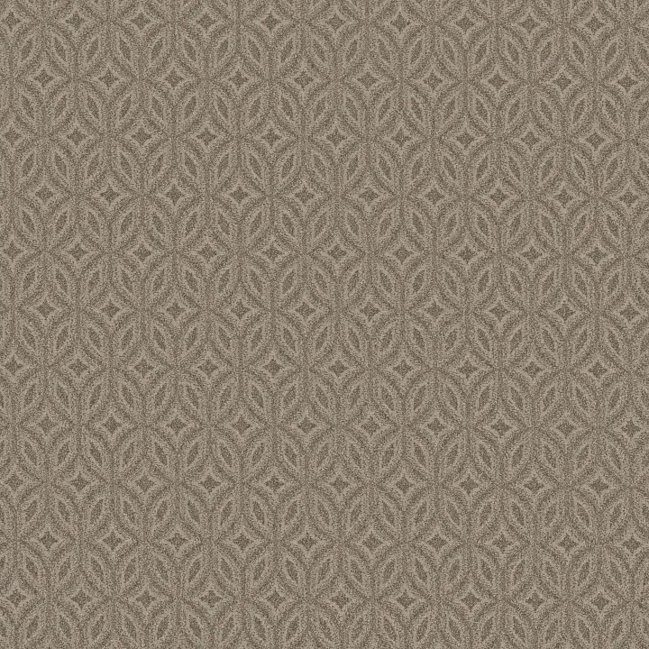 Anderson Tuftex Enlightened — Toasty Gray · ZZ274-00573 — flooring selection with LeviArs Design & Remodeling