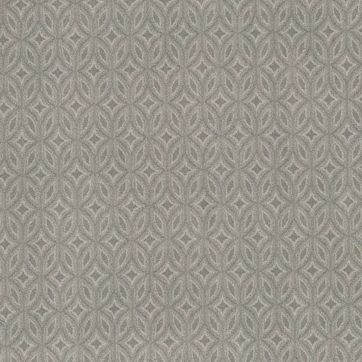 Anderson Tuftex Enlightened — White Metal · ZZ274-00551 — flooring selection with LeviArs Design & Remodeling
