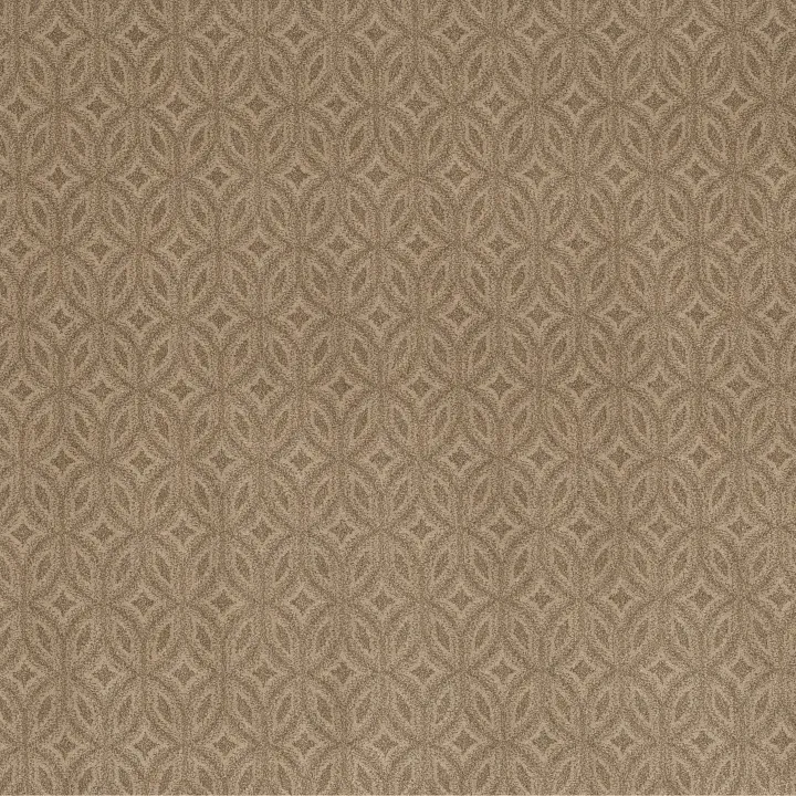Anderson Tuftex Enlightened — Windswept · ZZ274-00115 — flooring selection with LeviArs Design & Remodeling