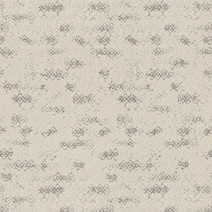 Anderson Tuftex Evoke — Canvas · ZZ326-00102 — flooring selection with LeviArs Design & Remodeling