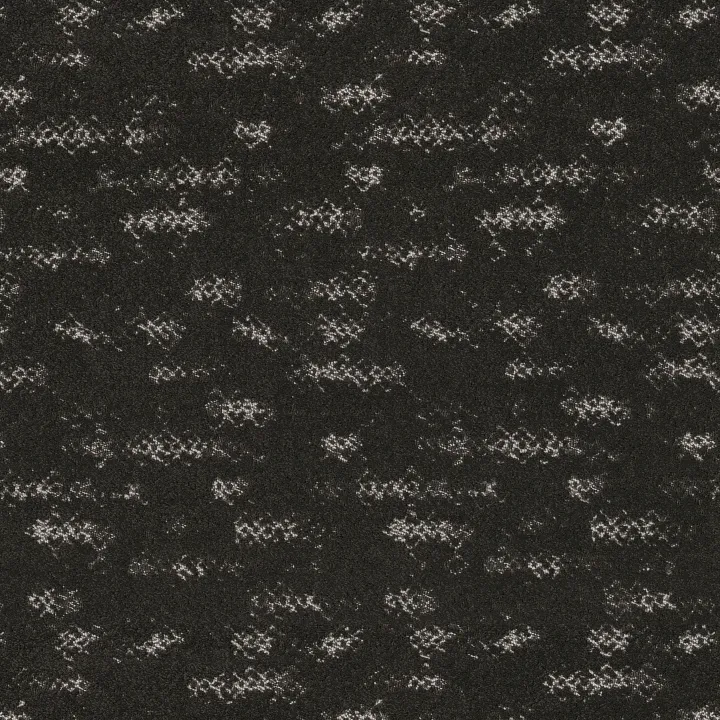 Anderson Tuftex Evoke — Charcoals · ZZ326-00505 — flooring selection with LeviArs Design & Remodeling