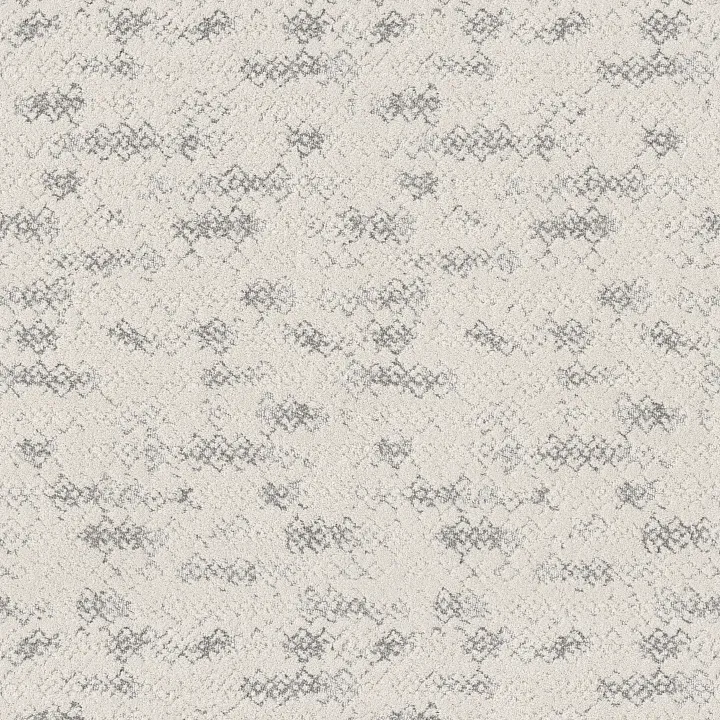 Anderson Tuftex Evoke — First Frost · ZZ326-00100 — flooring selection with LeviArs Design & Remodeling