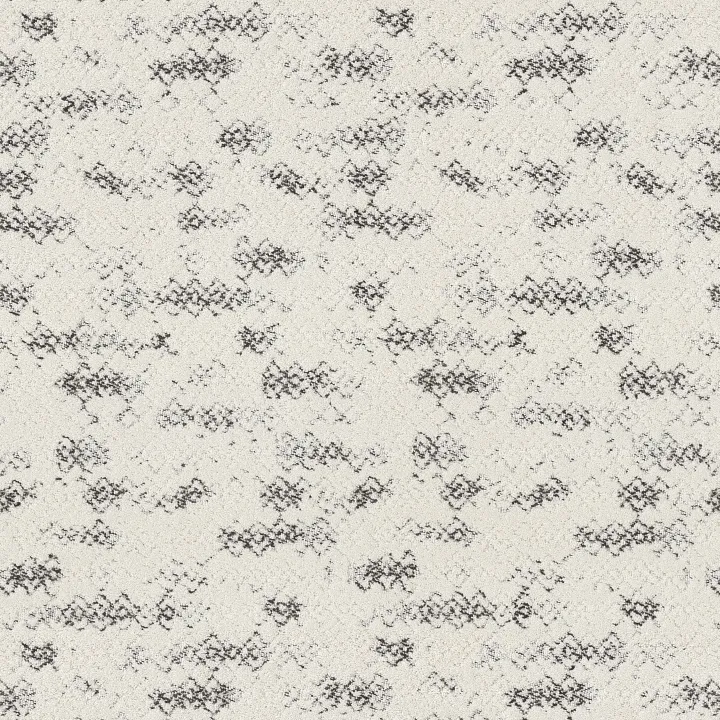 Anderson Tuftex Evoke — Granite · ZZ326-00103 — flooring selection with LeviArs Design & Remodeling