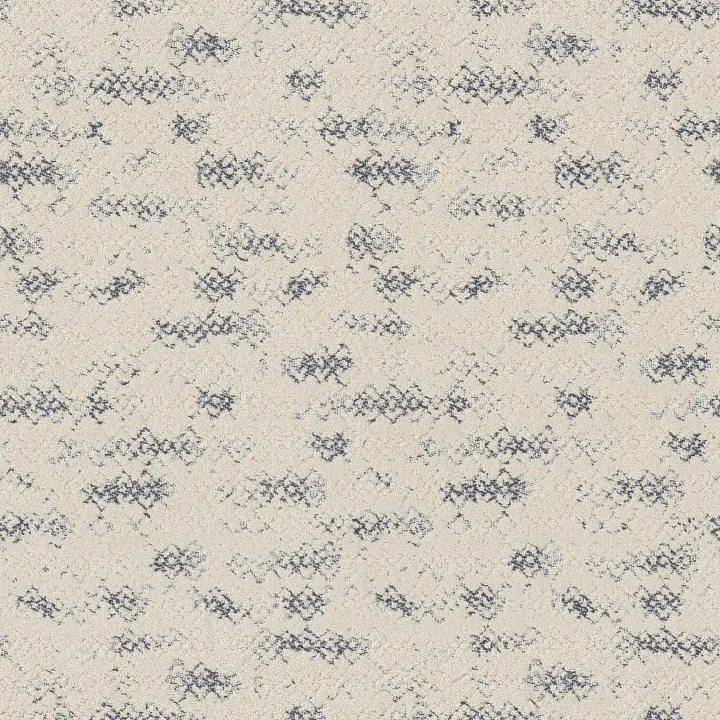 Anderson Tuftex Evoke — Serenity · ZZ326-00400 — flooring selection with LeviArs Design & Remodeling