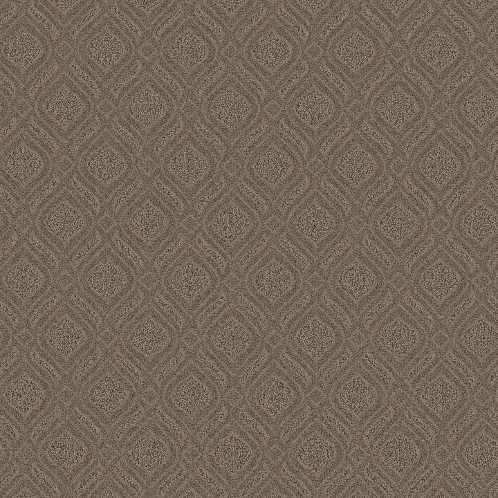 Anderson Tuftex Expressive — Arrowhead · ZZ273-00577 — flooring selection with LeviArs Design & Remodeling