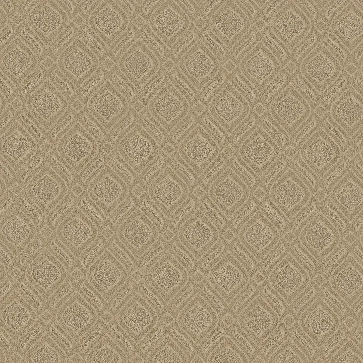 Anderson Tuftex Expressive — Beach Grass · ZZ273-00223 — flooring selection with LeviArs Design & Remodeling