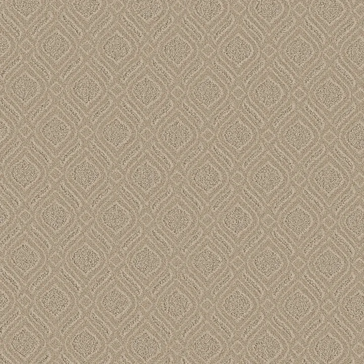 Anderson Tuftex Expressive — Casual · ZZ273-00132 — flooring selection with LeviArs Design & Remodeling