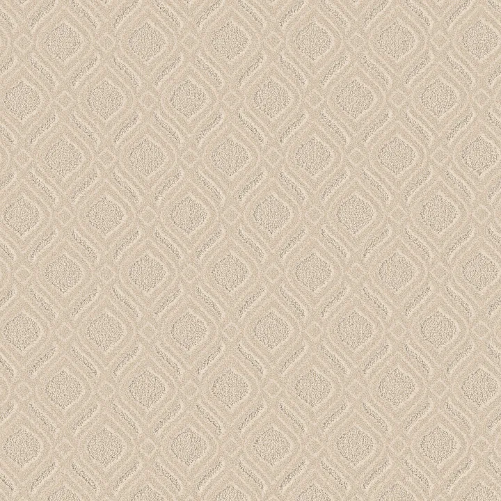 Anderson Tuftex Expressive — French Cream · ZZ273-00111 — flooring selection with LeviArs Design & Remodeling